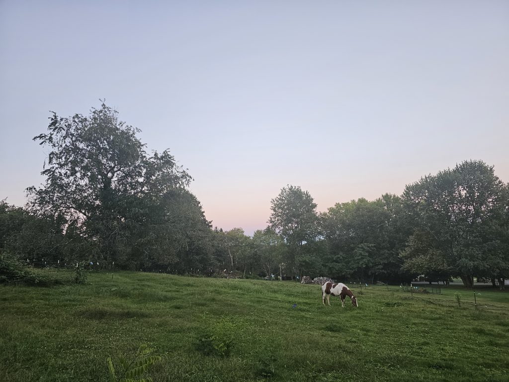 Flourish Green Care Family Farm